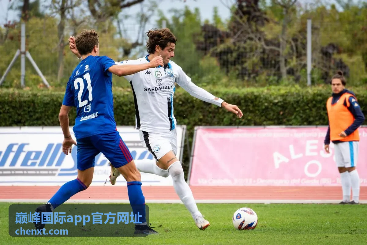 巅峰国际app官方网址下载与安装封面